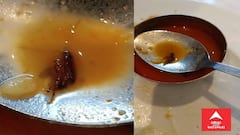 Ahmedabad: વસ્ત્રાપુરની હયાત હોટલના સાંભારમાંથી નીકળ્યો વંદો, AMCએ કિચનને કર્યુ સીલ