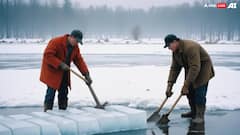 Ice Farming: इस देश में बर्फ की खेती करते हैं लोग, जानें क्या है आइस फार्मिंग के पीछे की वजह