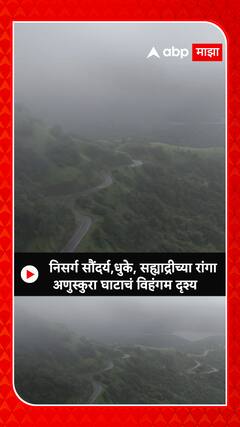 Anuskura Ghat : निसर्ग सौंदर्य,धुके, सह्याद्रीच्या रांगा अणुस्कुरा घाटाचं विहंगम दृश्य