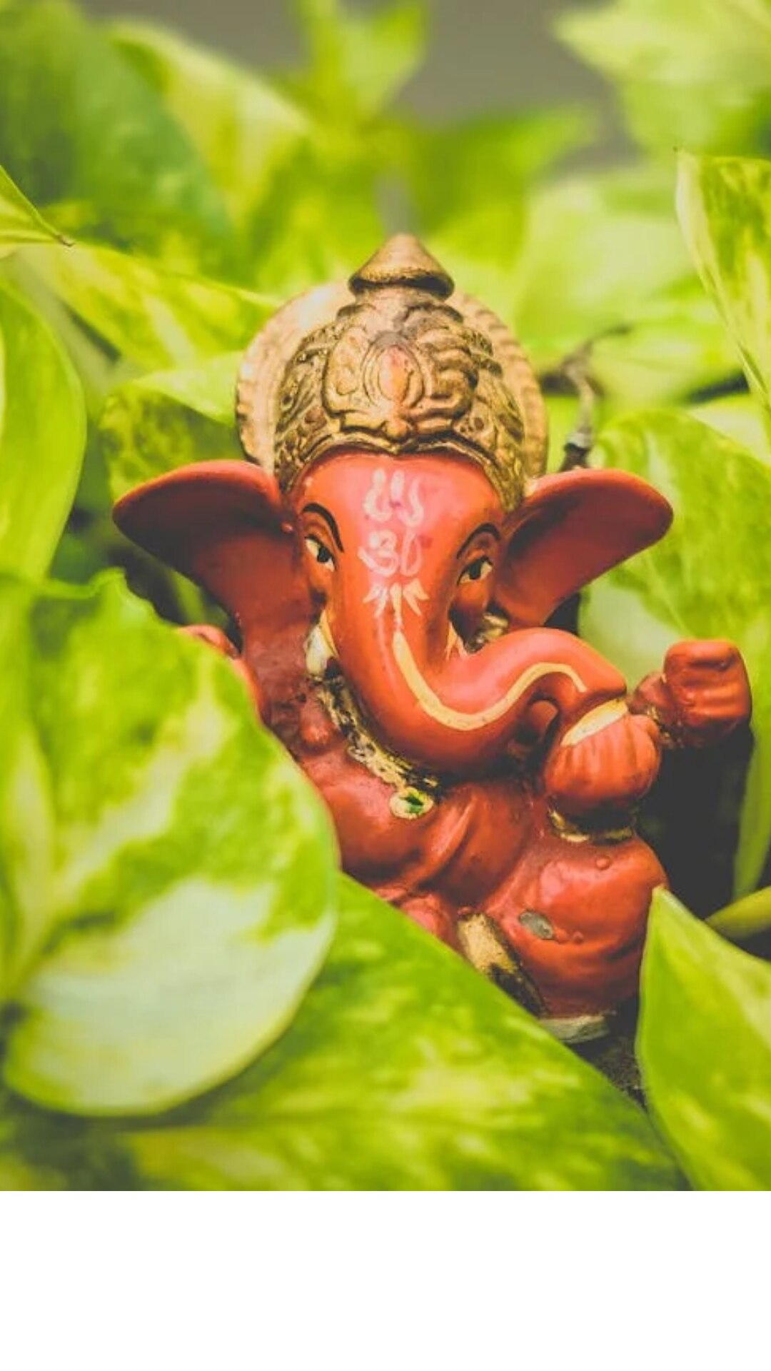 சிவப்பு நிற மலர்கள் பிள்ளையாருக்கு விருப்பமான மலராகும்