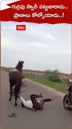 గుర్రపు స్వారీ.... పట్టు జారి... ప్రాణాలు కోల్పోయాడు