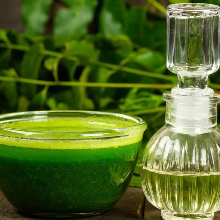 Neem leaves are no less than a boon for diabetes patients. If you are a diabetic patient, you can chew neem leaves on an empty stomach in the morning, if you are finding it difficult to do so, then you can drink neem leaves juice. It will taste bitter but it will keep your blood sugar level under control.