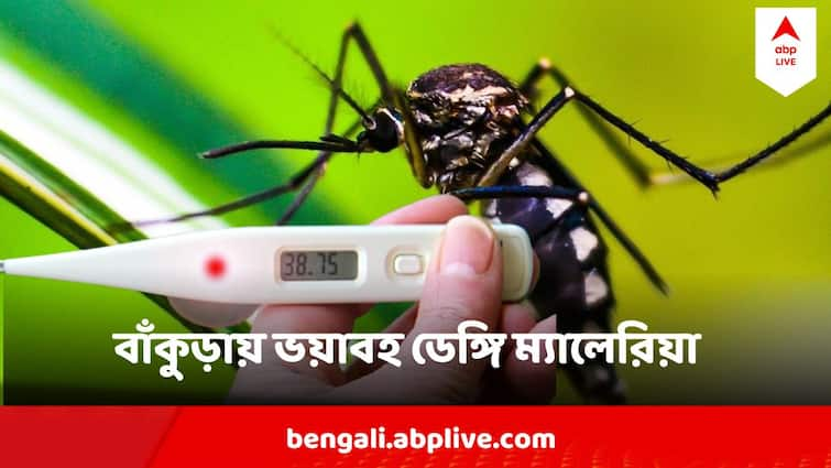 Bankura Rise In  Degue Malaria Cases In West Bengal Alarming Situation West Bengal Dengue Malaria Update  : বর্ষার দাপট নেই, তবুও হাসপাতাল ভরছে ডেঙ্গি, ম্যালেরিয়া রোগীতে, ভয়ঙ্কর পরিস্থিতি বাঁকুড়ায়