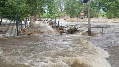 Cauvery water Increase  one lakh cubic feet in Hogenakkal - TNN Hogenakkal: நிரம்பி வழியும் ஒகேனக்கல்” ... கரைபுரண்டு ஓடும் காவிரி நீர் - விநாடிக்கு ஒரு லட்சம் கன அடி..!