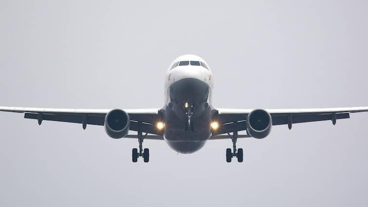 Couple fighting in Dublin flight over marital dispute causes emergency landing in France Nantes airport फ्लाइट में पति-पत्नी के बीच छिड़ी ऐसी 'जंग', करवानी पड़ी इमरजेंसी लैंडिंग! लोगों ने पीट लिया सिर