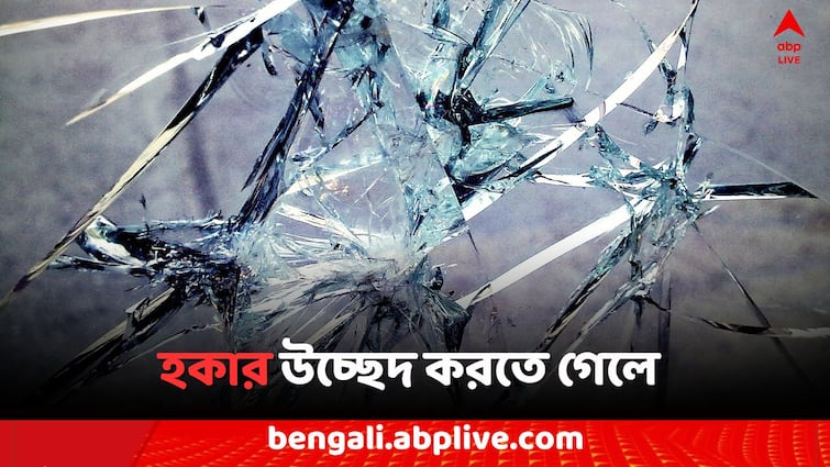 Kolkata Hawker Eviction Parnashree Municipal Assistant Director attacked by TMC worker Kolkata News: পর্ণশ্রীতে পুর আধিকারিককে 'হেনস্থা' TMC কর্মীর, হকার উচ্ছেদ করতে গেলে..