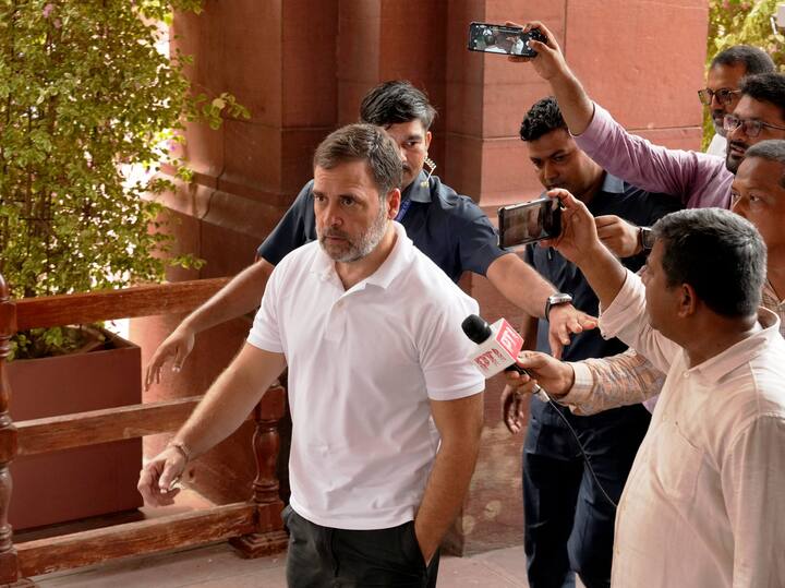 लोकसभा में विपक्ष के नेता और यूपी के रायबरेली से कांग्रेस के सांसद राहुल गांधी पर रिएक्शन देते हुए अनुप्रिया पटेल ने कहा कि फिलहाल वह बहुत मेहनत कर रहे हैं.