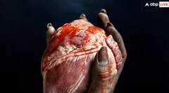 ਰੋਜ਼ ਆਹ ਮਿੱਠੀਆਂ ਚੀਜ਼ਾਂ ਖਾਣ ਨਾਲ ਵੱਧ ਜਾਂਦਾ ਲੀਵਰ ਕੈਂਸਰ ਦਾ ਖਤਰਾ, ਜਾਣੋ ਕਿੰਨੀ ਮਾਤਰਾ 'ਚ ਖਾਣੀ ਚਾਹੀਦੀ?