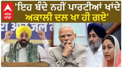Bhagwant Mann| 'ਇਹ ਬੰਦੇ ਨਹੀਂ ਪਾਰਟੀਆਂ ਖਾਂਦੇ, ਅਕਾਲੀ ਦਲ ਖਾ ਹੀ ਗਏ'