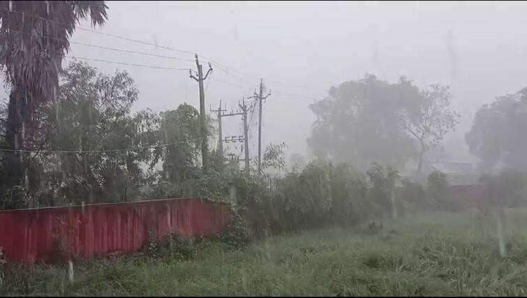 Heavy rain warning in this district of Gujarat from August 2, Meteorological Department has predicted Gujarat Rain Forecast: 2 ઓગસ્ટથી ગુજરાતના આ જિલ્લામાં ભારે વરસાદની ચેતવણી, હવામાન વિભાગે કરી  આગાહી