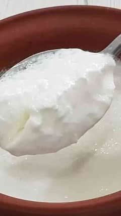 શિયાળામાં દહીં ક્યારે ખાવું જોઈએ?