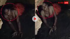 नागिन की तरह बिल में फन फैलाकर मिली कई दिनों से लापता लड़की, देखने वालों के उड़ गए होश