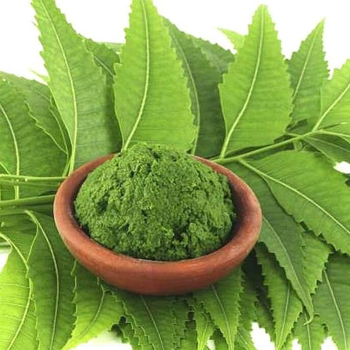 Consuming neem leaf juice is the easiest and most effective. By consuming it, we can avoid many types of diseases. Today we are going to tell you which diseases we can avoid by consuming neem leaf juice.