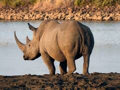 How Conscious Tourism Is On The Rise In Africa