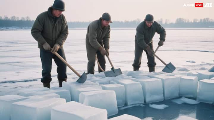 Ice Farming: नॉर्वे में बर्फ की खेती की जाती है. बर्फ को आइस ब्लॉक की शेप में काट लिया जाता है और फिर उसे बेचा जाता है.