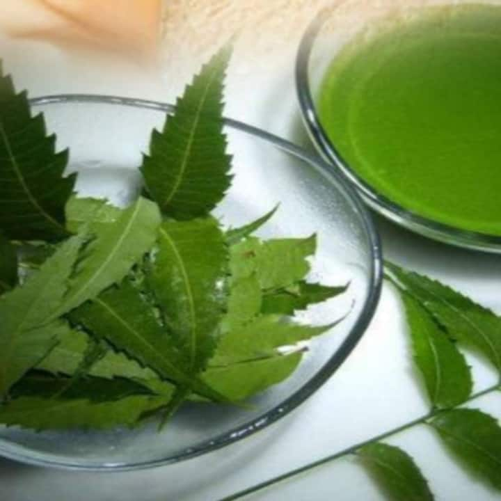 We can reduce the problem of bad cholesterol with the juice of neem leaves. The anti-oxidant properties present in this juice help in reducing bad cholesterol. Therefore, if we drink neem leaf juice, it can protect us from bad cholesterol.