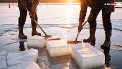 Ice Farming: इस देश में बर्फ की खेती करते हैं लोग, जानें क्या है आइस फार्मिंग के पीछे की वजह