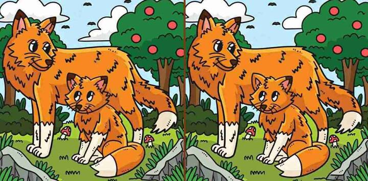 चलिए आपको सवाल से रूबरू कराते हैं,आपको तस्वीर में एक लोमड़ी और उसका प्यारा सा बच्चा दिख रहा होगा. इस तस्वीर के दो भाग हैं और दोनो में ही लगभग सभी चीजें समान हैं सिवाए 3 अंतर के.