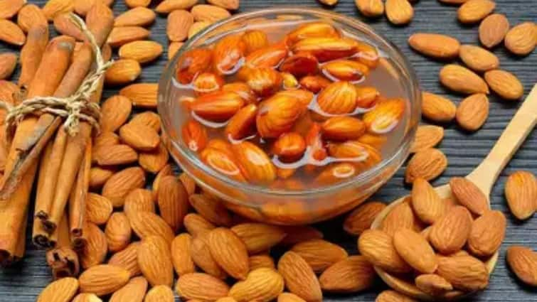 Benefits of soaked almonds eating on an empty stomach ABPP Benefits of soaked almonds: ਸਵੇਰੇ ਉੱਠਦੇ ਹੀ ਖਾਲੀ ਪੇਟ ਖਾ ਲਓ 5 ਭਿੱਜੇ ਬਦਾਮ ਖਾਓ, ਫੇਰ ਵੇਖੋ ਕਮਾਲ