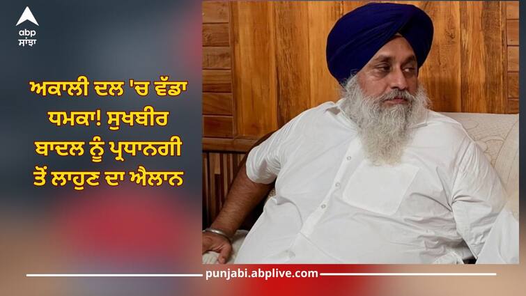 Akali Dal Crisis: Rebel Akalis says Sukhbir Badal to be removed from presidency Akali Dal Crisis: ਅਕਾਲੀ ਦਲ 'ਚ ਵੱਡਾ ਧਮਾਕਾ! ਸੁਖਬੀਰ ਬਾਦਲ ਨੂੰ ਪ੍ਰਧਾਨਗੀ ਤੋਂ ਲਾਹੁਣ ਦਾ ਐਲਾਨ