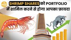 Why Shrimp Shares Are Seeing Record Surge After The Budget | Paisa Live