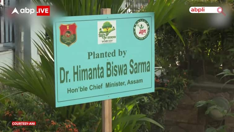 Assam CM Himanta Biswa Sarma Pledges To Plant 3 Crore Saplings Under 'Amrit Brikshya Andolan'