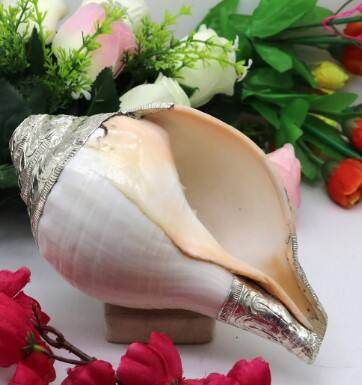 ਅਜਿਹਾ ਮੰਨਿਆ ਜਾਂਦਾ ਹੈ ਕਿ ਘਰ ਜਾਂ ਮੰਦਰ 'ਚ ਸ਼ੰਖ ਰੱਖਣ ਨਾਲ ਘਰ 'ਚ ਬਰਕਤ ਬਣੀ ਰਹਿੰਦੀ ਹੈ ਪਰ ਅਕਸਰ ਅਜਿਹਾ ਹੁੰਦਾ ਹੈ ਕਿ ਲੋਕ ਸ਼ੰਖ ਲਿਆ ਕੇ ਉਸੇ ਤਰ੍ਹਾਂ ਹੀ ਰੱਖਦੇ ਹਨ, ਯਾਨੀ ਸ਼ੰਖ ਨੂੰ ਖਾਲੀ ਹੀ ਰੱਖਦੇ ਹਨ।