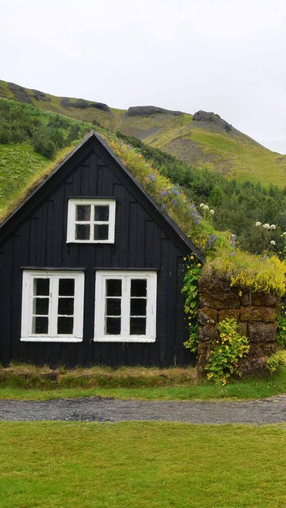 भिखारियों का सप्लायर बना ये मुस्लिम देश