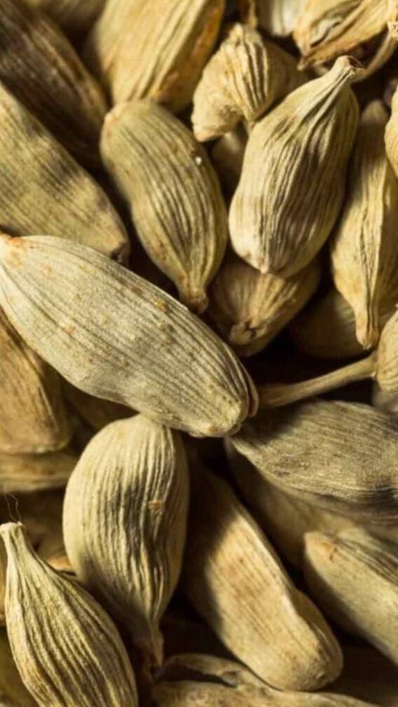 రోజూ రెండు యాలకులతో చక్కటి నోటి ఆరోగ్యం