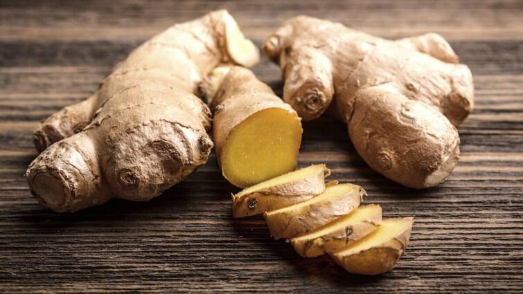 These 2 Diesease Patient should not eat ginger its harmful for us Ginger: ਆਹ 2 ਬਿਮਾਰੀਆਂ ਦੇ ਲੋਕਾਂ ਨੂੰ ਭੁੱਲ ਕੇ ਵੀ ਨਹੀਂ ਖਾਣਾ ਚਾਹੀਦਾ ਅਦਰਕ, ਹੋ ਸਕਦਾ ਨੁਕਸਾਨ