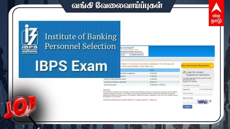 Institute of Banking Personnel Selection PO Recruitment 4455 Post Check out the details and Apply IBPS PO Recruitment 2024: பொதுத்துறை வங்கி வேலை வேண்டுமா? 4,455 பணியிடங்கள்- விண்ணப்பிப்பது எப்படி?