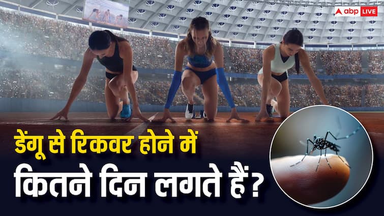 dengue fever threatens to gate crash the paris olympics 2024 Paris Olympics 2024: ओलंपिक में डेंगू के मामले, जानें कितने दिन में होती है इस बीमारी से रिकवरी