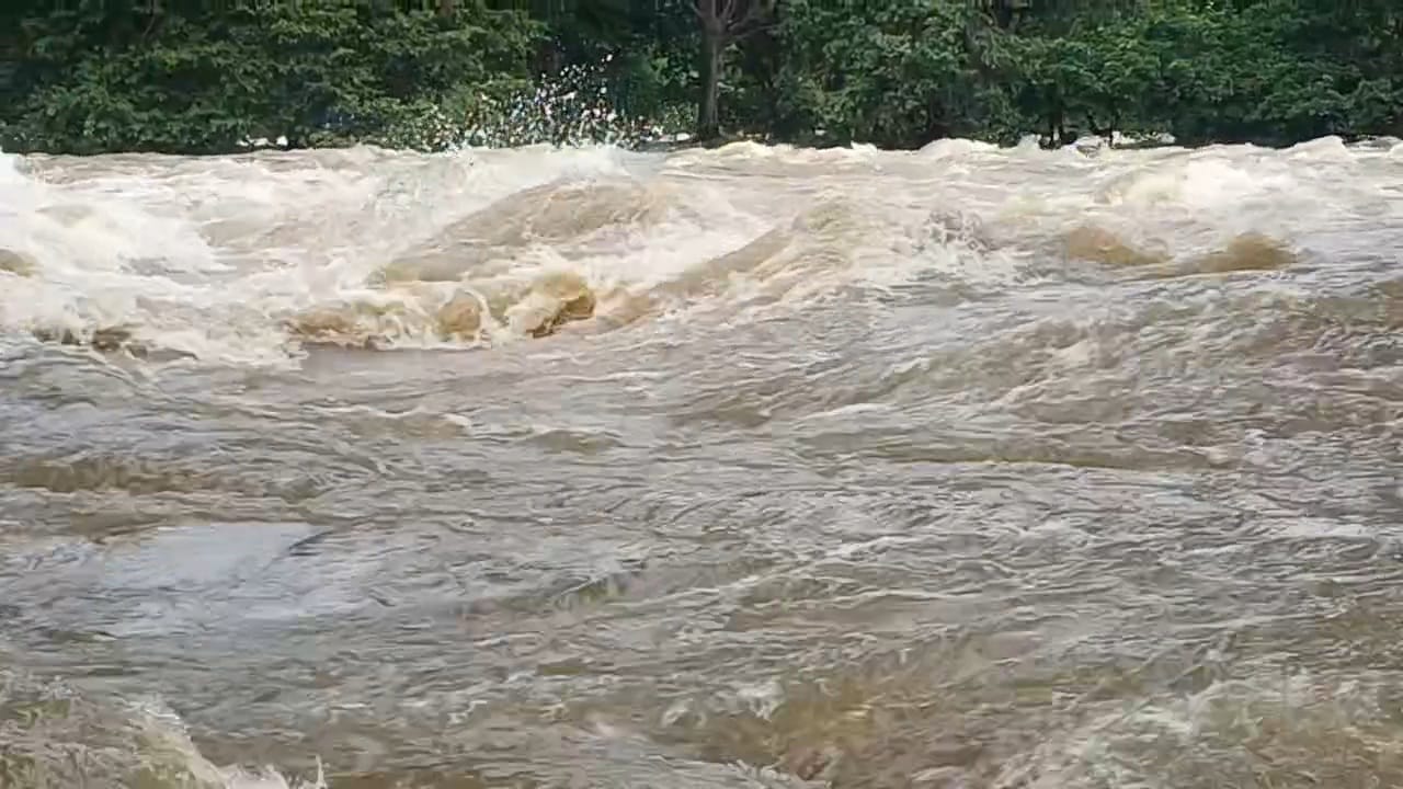 Hogenakkal Flood : 