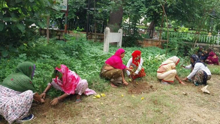 Kota Forest department plant more than 11 Lakhs saplings Ek Ped Maa ke Naam Campaign ANN पौधरोपण से धरती का श्रृंगार! कोटा में श्मशान और कब्रिस्तान में भी लगेंगे पौधे