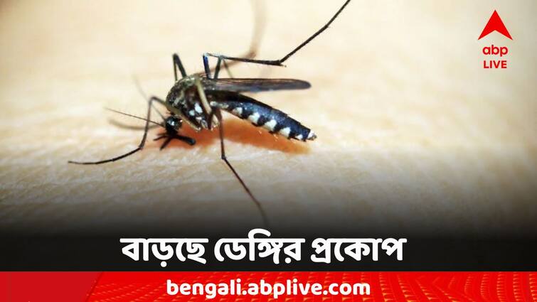 East Burdwan Kalna Hospital Dengue Case two ward opened for patient Dengue Case: ঊর্ধ্বমুখী আক্রান্তের সংখ্যা, বর্ষার শুরুতে ডেঙ্গির প্রকোপ কালনায়