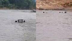 दो वक्त की रोटी पर भी आफत! बीजापुर में भारी बारिश से टापू बन गए 30 गांव, ग्रामीण बोले- जिंदगी दांव पर...