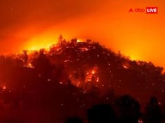 Prediction 2025: साल 2025 को लेकर इन भविष्यवक्ताओं की भविष्यवाणी उड़ा रही लोगों की नींद