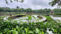 Delhi Rains: दिल्ली के लिए आफत बनी बारिश, वाहनों की रफ्तार पर लगा ब्रेक तो कई जगह गिरे पेड़