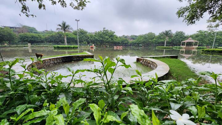 राष्ट्रीय राजधानी में बुधवार देर शाम से जारी बारिश की वजह से एक बार फिर दिल्ली जलमग्न हो गया और जगह-जगह लोग इस कारण परेशान होते नजर आए. कल हुई बारिश का असर हवाई यात्रा पर भी पड़ा और खराब मौसम के चलते कल कई फ्लाइट्स को डायवर्ट कर दिया गया.