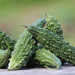 ਯੂਰਿਕ ਐਸਿਡ 'ਚੋਂ ਪਿਊਰੀਨ ਨੂੰ ਛਾਣ ਕੇ ਬਾਹਰ ਕੱਢ ਦਿੰਦਾ ਕਰੇਲਾ, ਇੰਝ ਕਰੋ ਵਰਤੋਂ