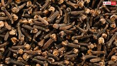 Monsoon: बरसात में सर्दी-खांसी से हैं परेशान तो रात में सोने से पहले खाएं 2 लौंग, तुरंत मिलेगा आराम