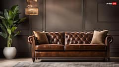 Home Tips: लेदर के सोफे को साफ करने में आ रही है प्रॉब्लम, तो जान लें ये आसान तरीका