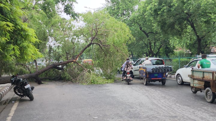 Delhi Rain News: दिल्ली में कल शाम से हुई बारिश (Delhi rain) ने लोगों को उमस भरी गर्मी से राहत दिला दी. मौसम भी काफी सुहाना हो गया. जानें- ये बारिश अपने साथ क्या-क्या आफत लेकर आई?