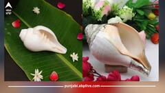 Astrology Tips: ਘਰ ਜਾਂ ਮੰਦਰ 'ਚ ਖਾਲੀ ਸ਼ੰਖ ਰੱਖਣਾ ਸਹੀ ਜਾਂ ਗਲਤ? ਜਾਣੋ ਜੋਤਿਸ਼ ਸ਼ਾਸਤਰ ਕੀ ਕਹਿੰਦਾ