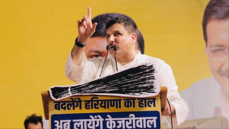 Haryana Assembly Election 2024  Aam Aadmi Party MP Sanjay Singh targeted bjp Arvind Kejriwal ann अब हरियाणा पर AAP की नजर, करनाल में गरजे संजय सिंह, बोले- ‘ अरविंद केजरीवाल को भी...’