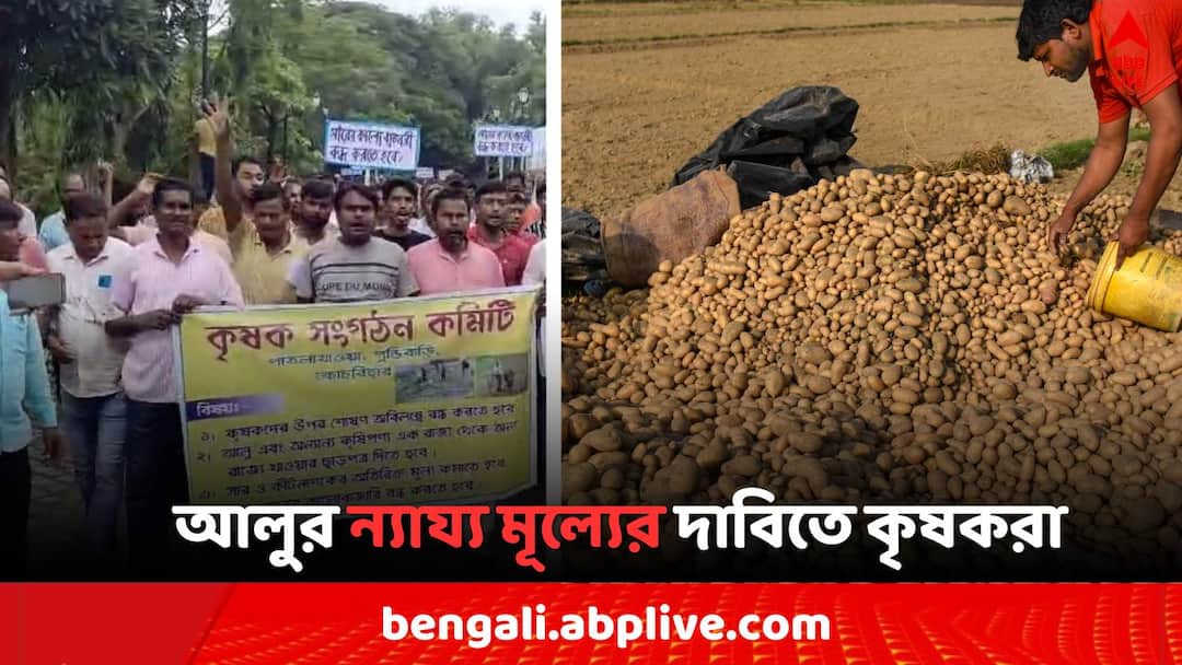 Cooch Behar News: 'সরকারকে ন্যায্য মূল্যে তাঁদের থেকে আলু কিনতে হবে..', বৃহত্তর আন্দোলনের হুঁশিয়ারি কৃষকদের Potato Price Hike Cooch Behar farmers warns for grater movement if government will not accept their claims Cooch Behar News: 'সরকারকে ন্যায্য মূল্যে তাঁদের থেকে আলু কিনতে হবে..', বৃহত্তর আন্দোলনের হুঁশিয়ারি কৃষকদের