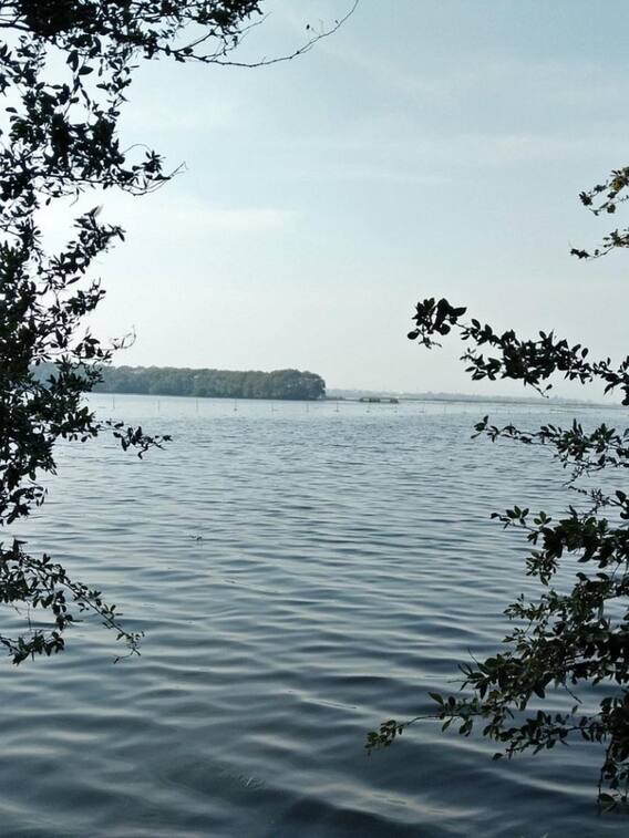 गर्लफ्रेंड के साथ दिल्ली की इन 5 खूबसूरत झीलों पर जाना न भूलें