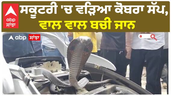 ਸਕੂਟਰੀ 'ਚ ਵੜਿਆ ਕੋਬਰਾ ਸੱਪ, ਵਾਲ ਵਾਲ ਬਚੀ ਜਾਨ, ਦੇਖੋ ਲਾਈਵ ਤਸਵੀਰਾਂ