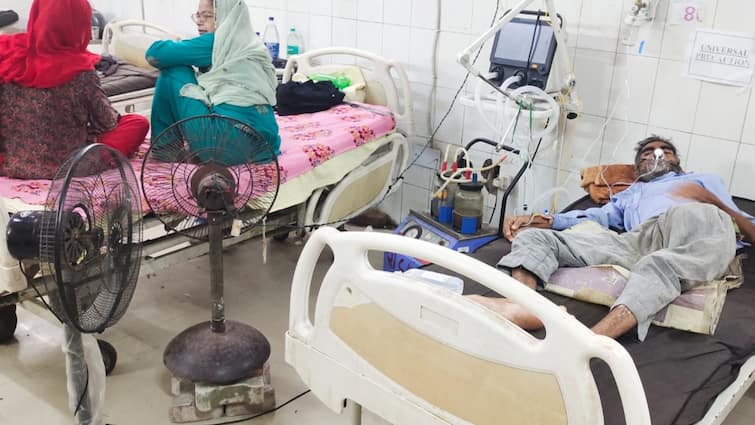 Firozabad Government Medical College ward AC not working patients fans from home forced ann Firozabad News: सरकारी मेडिकल कॉलेज के वार्ड में AC खराब, घर से पंखा लाने को मजबूर हुए मरीज 