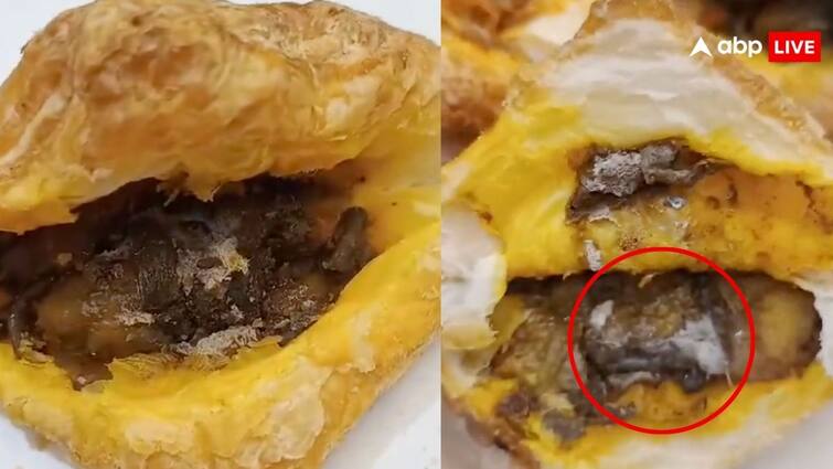 patties had deadly fungus inside varanasi bakery shop video goes viral on social media रेस्टोरेंट में पेटीज के अंदर दिखी ऐसी चीज, दोबारा खाने से पहले दस बार सोचेंगे आप